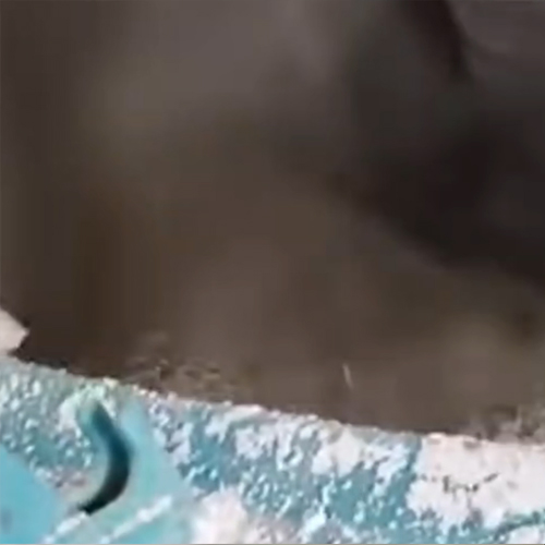 视频：康杰斯特种肥料大型造粒机造粒视频