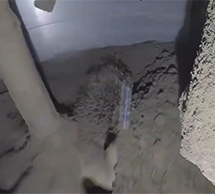 视频：康杰斯大型强力混合机搅拌视频